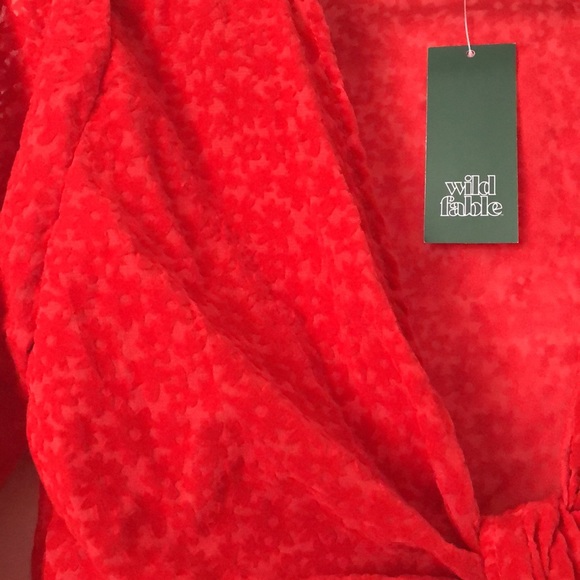 NWT Wild Fable Target Red Suede Floral Translucent Tie Crop Top Long Sleeves - S - Picture 7 of 12